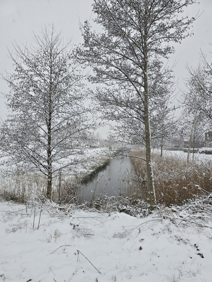 schrage_esther's tweet photo. Yes, eindelijk een beetje winter #weerfoto #sneeuw  @BuienRadarNL @weerenradar_nl @PvForecast @weeronline @helgavanleur https://t.co/srvnB8xIw4