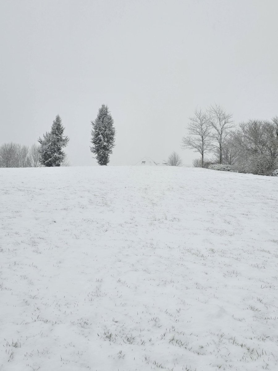 schrage_esther's tweet photo. Yes, eindelijk een beetje winter #weerfoto #sneeuw  @BuienRadarNL @weerenradar_nl @PvForecast @weeronline @helgavanleur https://t.co/srvnB8xIw4