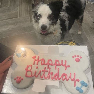 teeboi1111's tweet image. #NewProfilePic