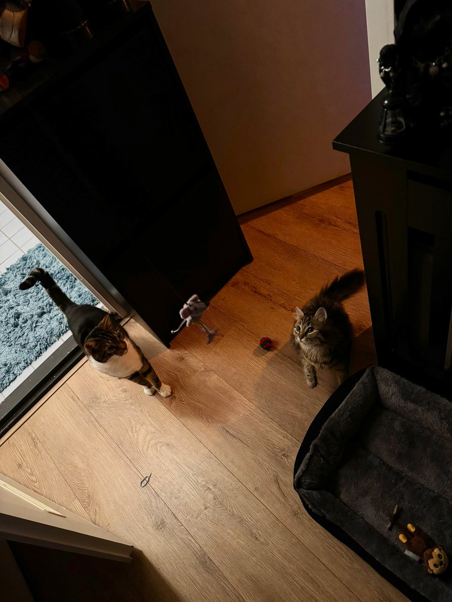 The children have met