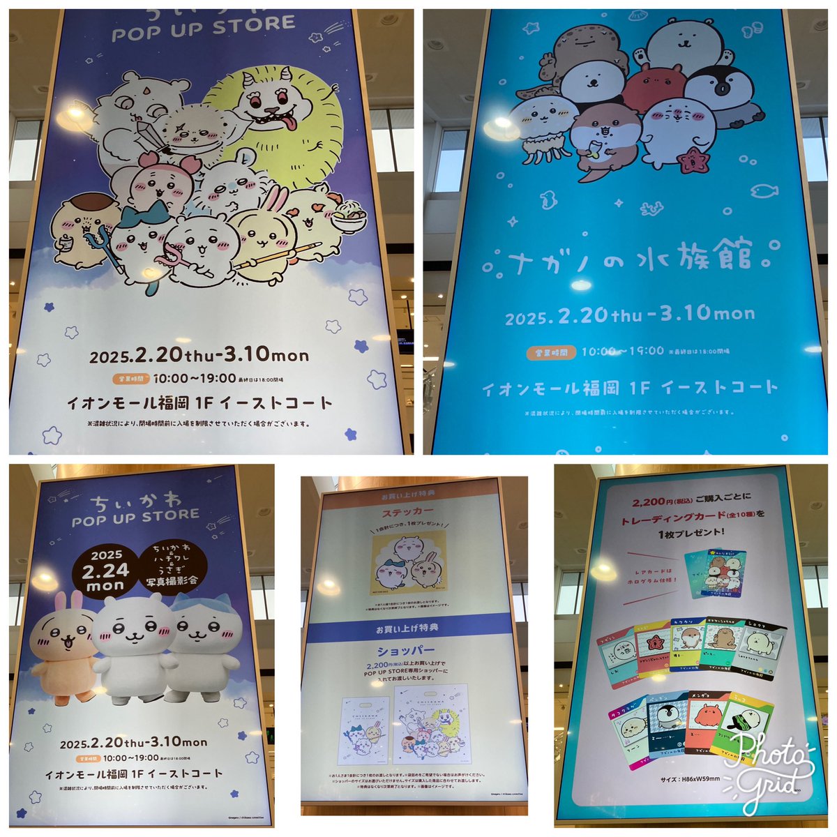 yahauraura's tweet photo. 全然知らなくて、たまたまイオンでモニターを見たらちょうど終わったから、次に放送されるまでずっと待ってたww🤣
最近アザラシが好きでメル●リしようかと思ってたからよかった🥰💕 https://t.co/BAdxol4x34