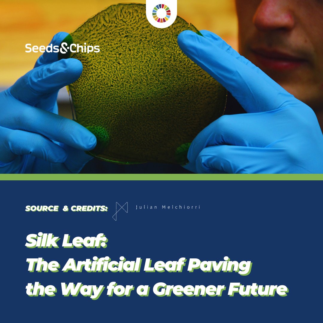 SEEDSandCHIPS's tweet photo. Innovation and nature come together with Silk Leaf, the artificial leaf that mimics photosynthesis for a greener future, from sustainable architecture to space exploration.
📌 https://t.co/ot4w3J08HQ
#SDGs #GlobalGoals #SilkLeaf #ArtificialLeaf #Architecture #JulianMelchiorri #SustainableInnovation