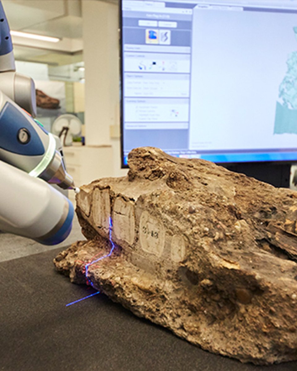 NHM_Digitise's tweet image. Today is known as #DarwinDay as people around the world celebrate Charles Darwin's contribution to science. 

We have digitised some of the fossil mammals that were central to his theory of evolution - find out more about them here: 
nhm.ac.uk/our-science/se…