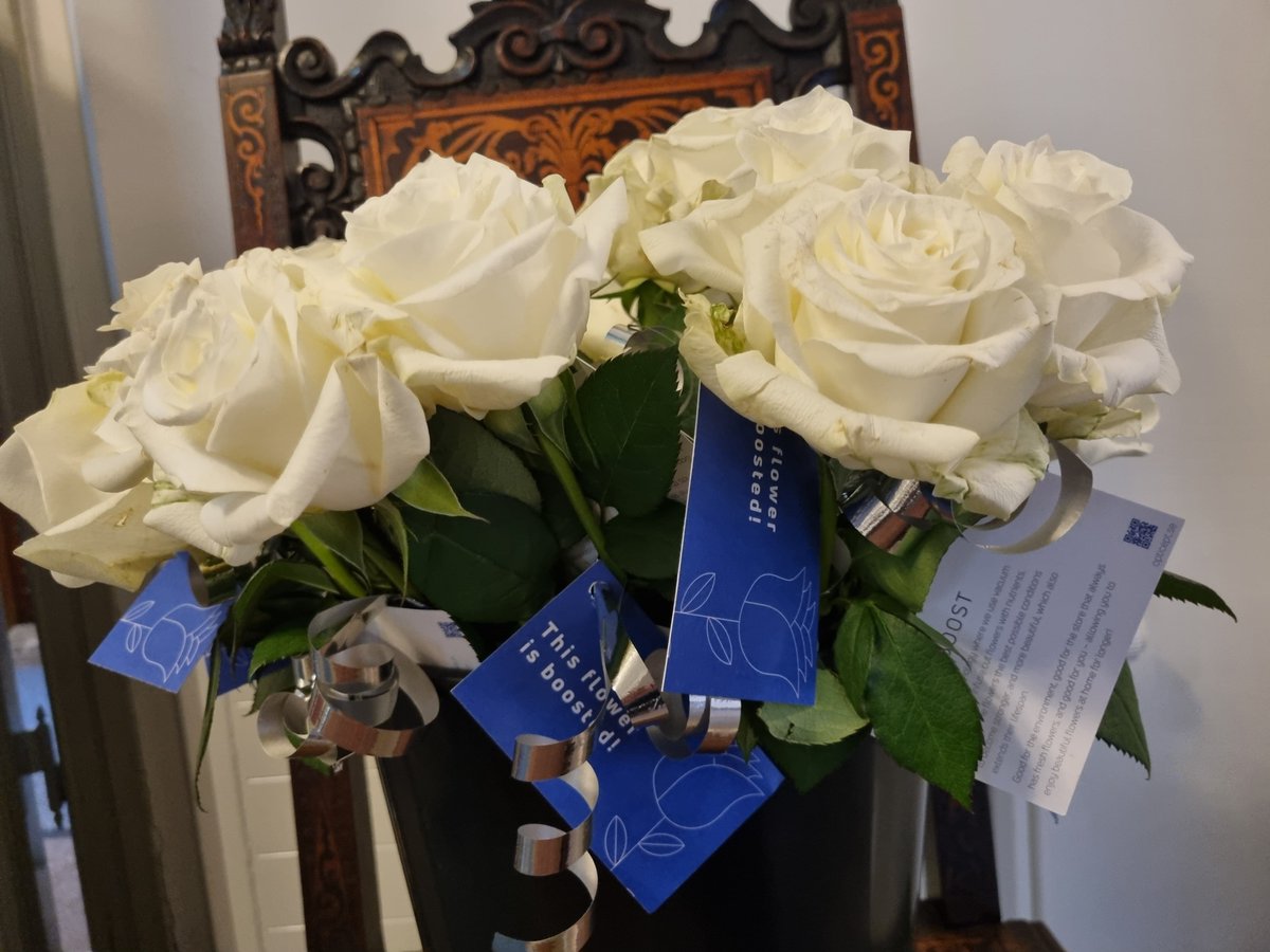 OptiCept's tweet image. Back to the roots! Last night we had the pleasure of attending an event hosted by LU Ventures, @Lundsuni dedicated venture builder. This is where it all started way back, thank you for a great evening!

#OptiCept #Foodtech #Planttech #innovation