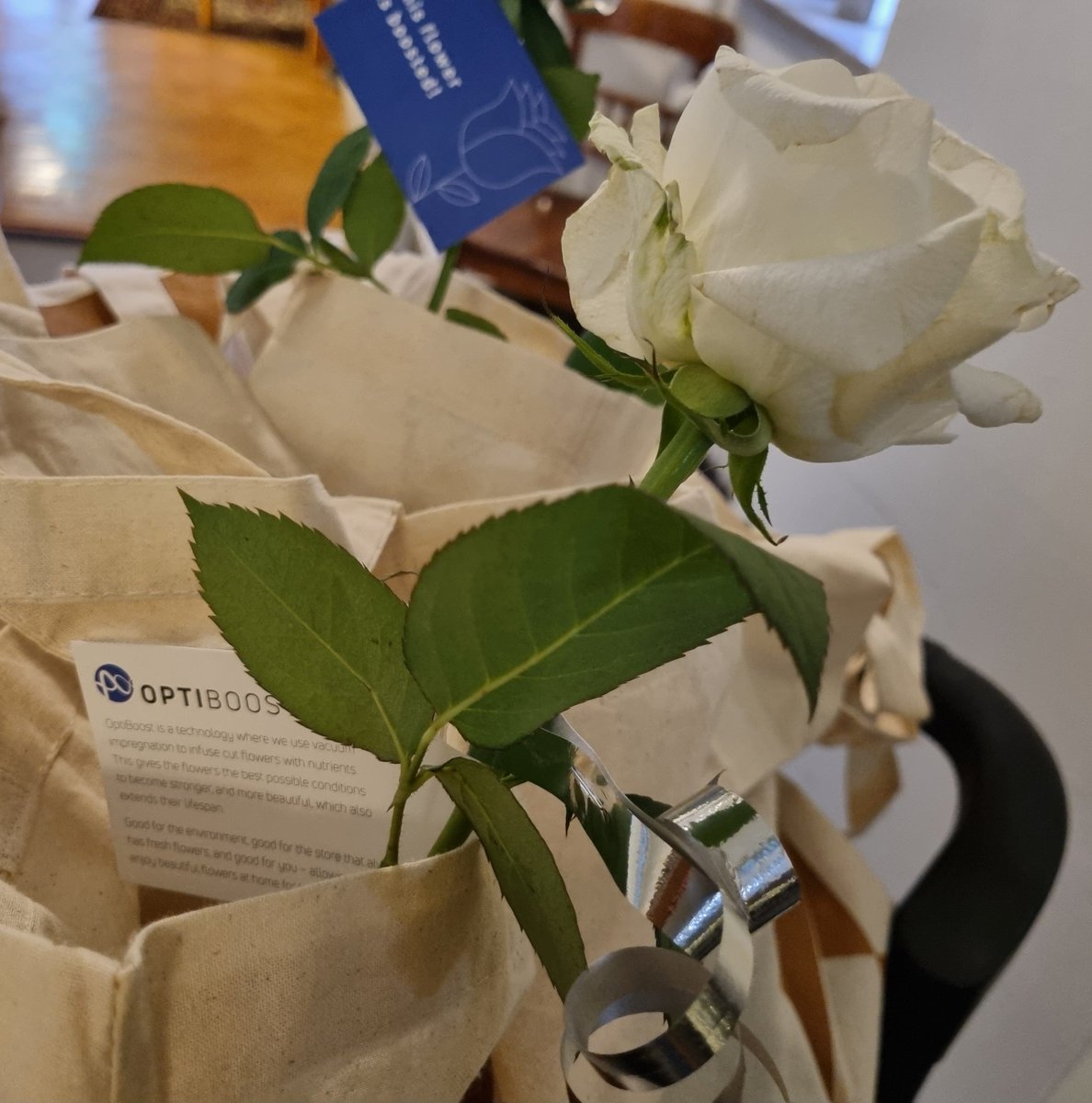 OptiCept's tweet image. Back to the roots! Last night we had the pleasure of attending an event hosted by LU Ventures, @Lundsuni dedicated venture builder. This is where it all started way back, thank you for a great evening!

#OptiCept #Foodtech #Planttech #innovation