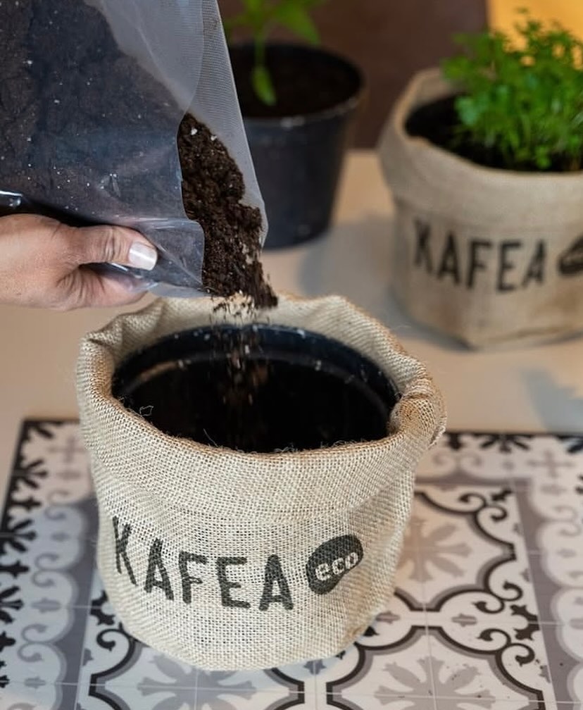 Automáticos Rogar Vending tweet media