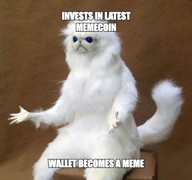 When you dive deep into memecoin mania only to become the ultimate punchline of the blockchain.