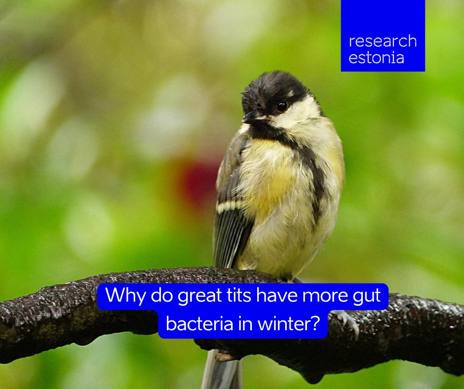 Research in Estonia tweet media