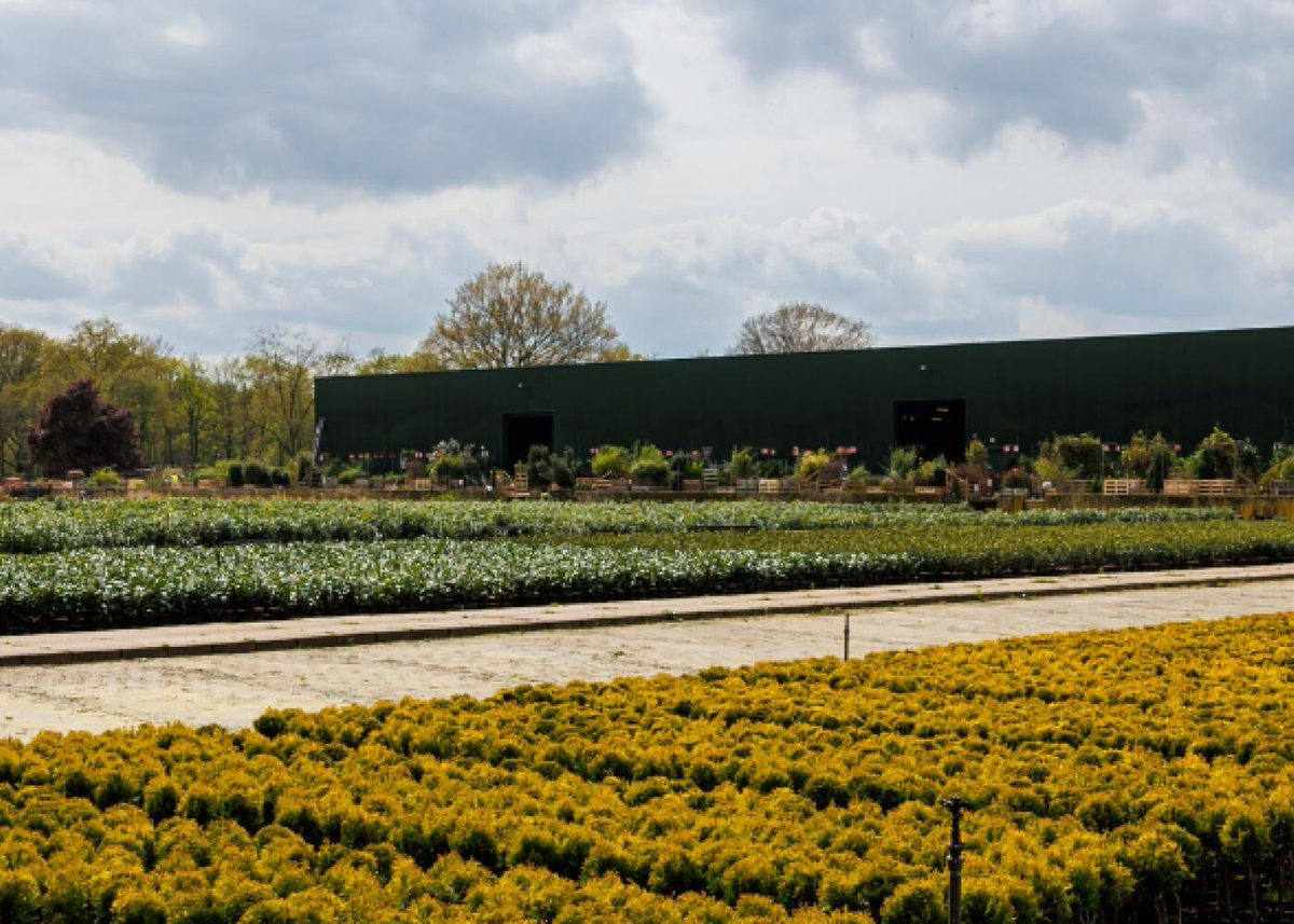 Het ziekteverzuim in de agrarische en groene sector blijft in 2024 vrijwel gelijk aan vorig jaar. 🔗 Bekijk de verzuimcijfers per sector » bit.ly/3EAChDx