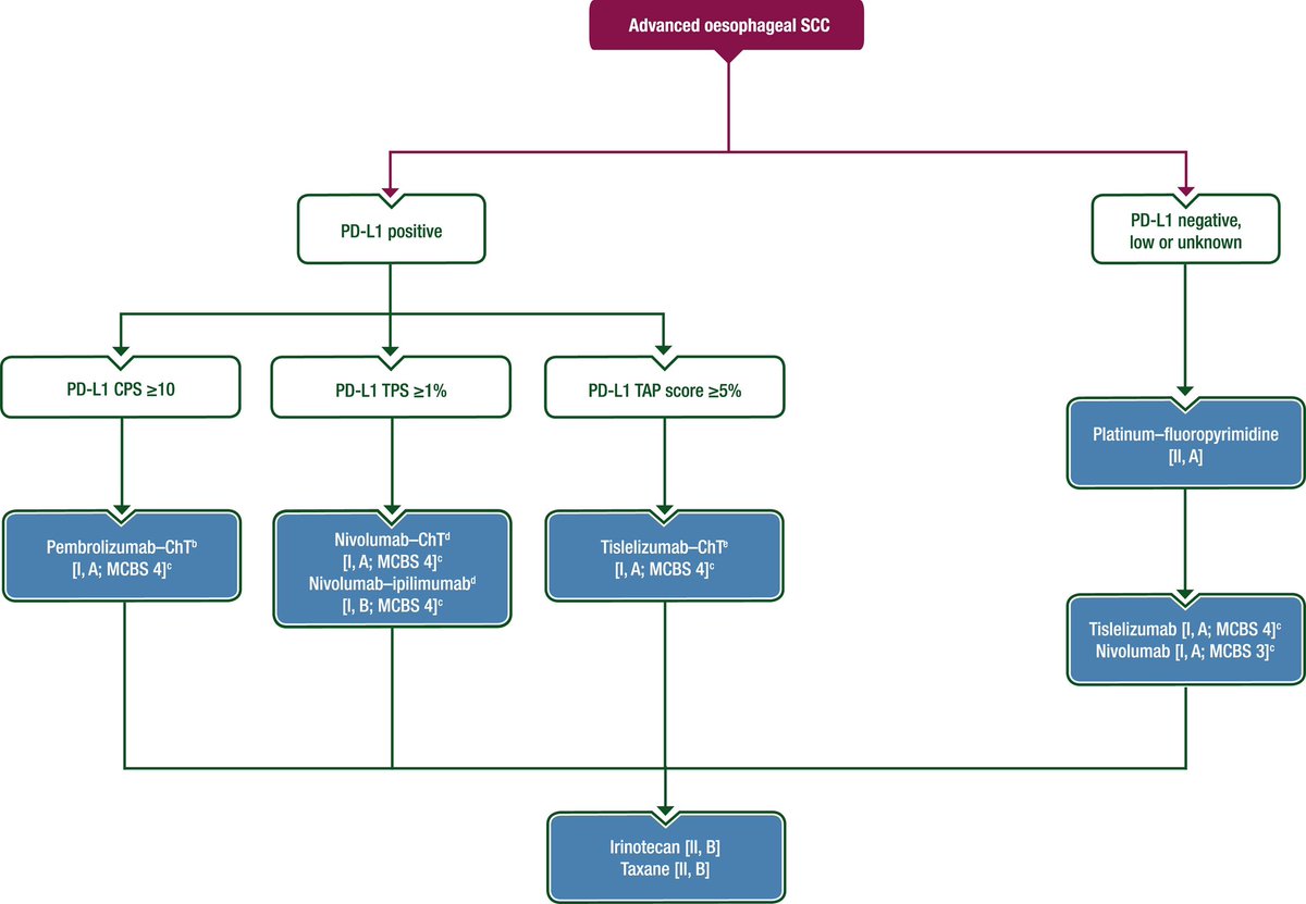 ESMO Clinical Practice Guideline interim update on the treatment of locally advanced oesophageal and oesophagogastric junction adenocarcinoma and metastatic squamous-cell carcinoma

esmoopen.com/article/S2059-…