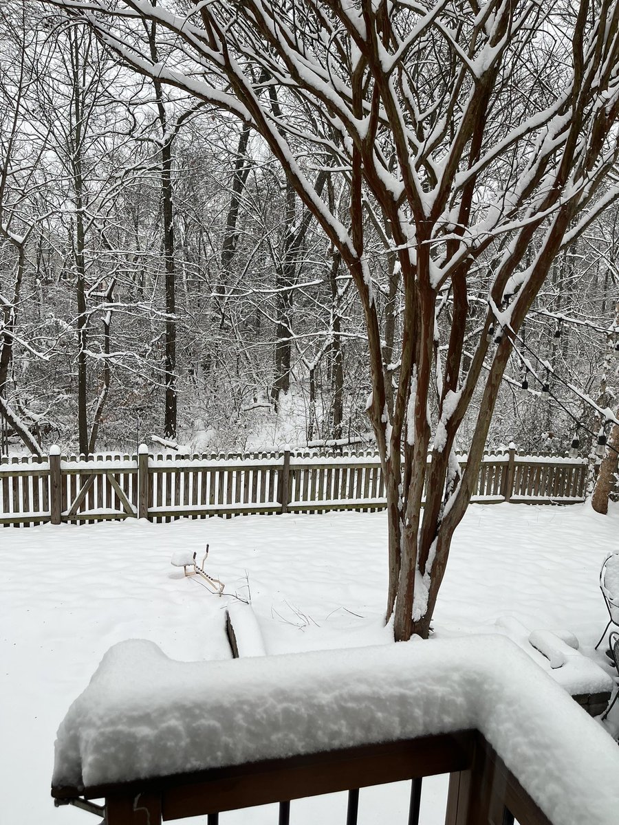 JerrySutton's tweet image. The view out of our back window.