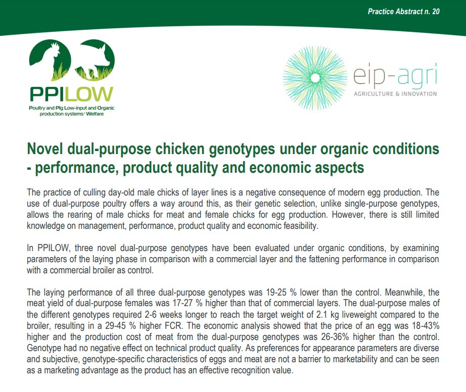 PPILOW project presents the 20th Practice Abstract (PA20): 

“Novel dual-purpose chicken genotypes under organic conditions
- performance, product quality and economic aspects”🌿🐔

Read it here👉 ppilow.eu/wp-content/upl…