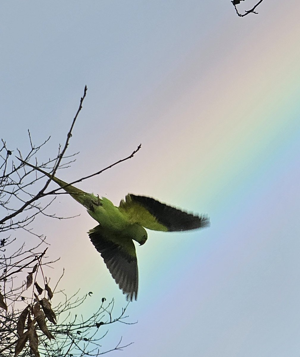 David Hardoon (@davidhardoon) on Twitter photo 