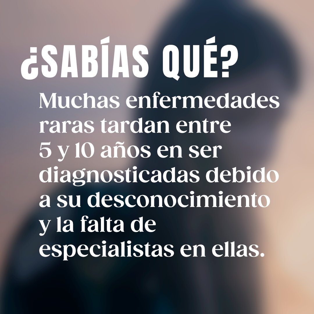 Limmat Films tweet media