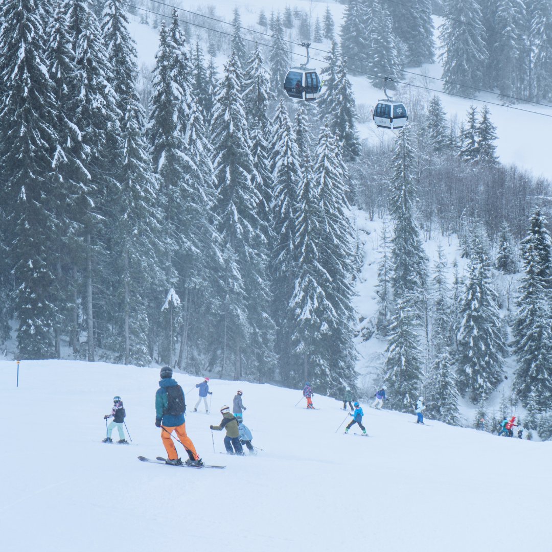 Another amazing season of Ski &amp; Skate Fridays at #ISBerne is ending! ❄️🏂⛸️ ⛷️✨

Our entire #school embraced the Swiss winter, improving their skills while building confidence, resilience, and friendships on the slopes and ice.
