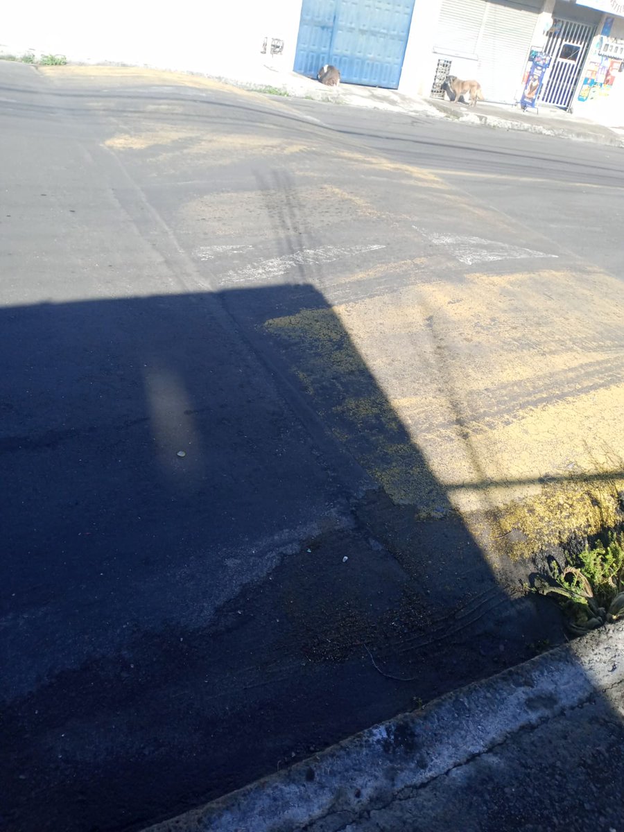 Señores <a href="/ObrasQuito/">Obras Quito</a> luego de trabajo arreglo d huecos, contratista no dejo pintando y ustedes jamás pusieron la señalética en toda la Av. Galo Plaza Lasso Sector puertas del sol

🙏SOLICITO q terminen el trabajo y dejen en óptimas condiciones. 
<a href="/movibel1/">Belén..🇪🇨🍀</a> <a href="/arq_pi/">Pilar</a> <a href="/NegraKatty710/">NegritaKatty😍🫶💋🌹</a>