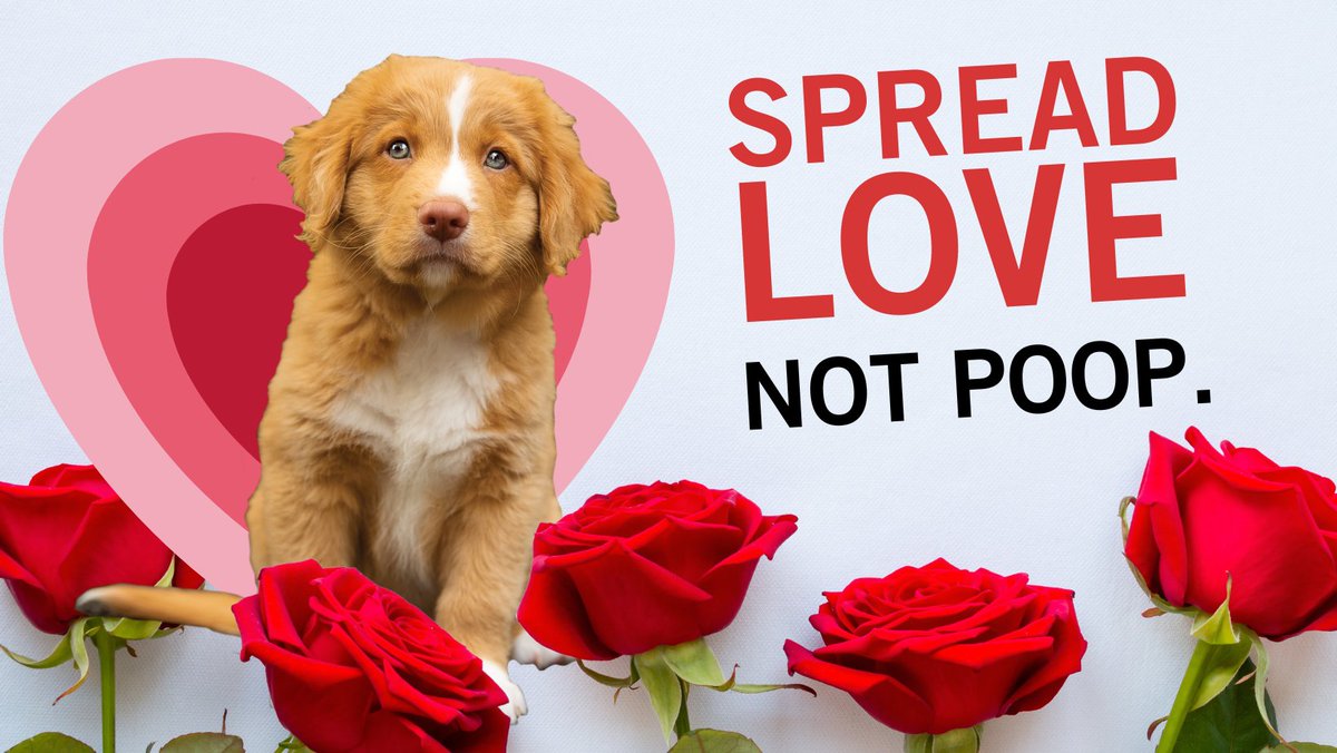 WhatcomCoPWA's tweet image. Roses are red, violets are blue. My poop stinks. Thanks for scooping it, dude!
Learn More: whatcomcounty.us/ScoopPoop
#ScoopItBagItTrashIt
#SpreadLoveNotPoop