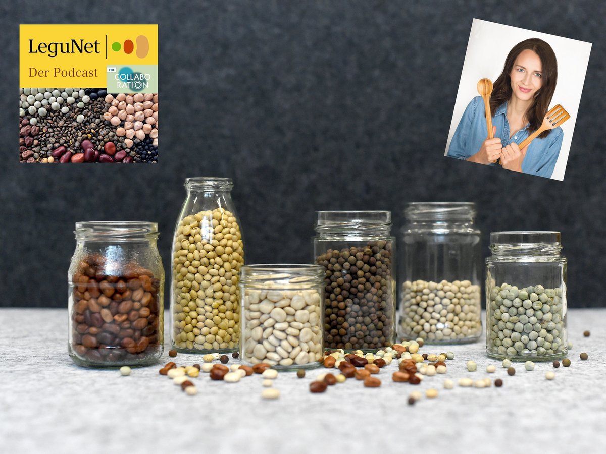 Neuer LeguNet-Podcast: Hülsenfrüchte für jeden Tag
Die neue Folge des Podcasts ist eine ideale Gelegenheit, die vielen Vorteile von Hülsenfrüchten zu zeigen und leckere Rezepte zu probieren. Die FiBL Projekte GmbH betreut die Kommunikation im Projekt. 👉 pulse.ly/47uvd3n4lj