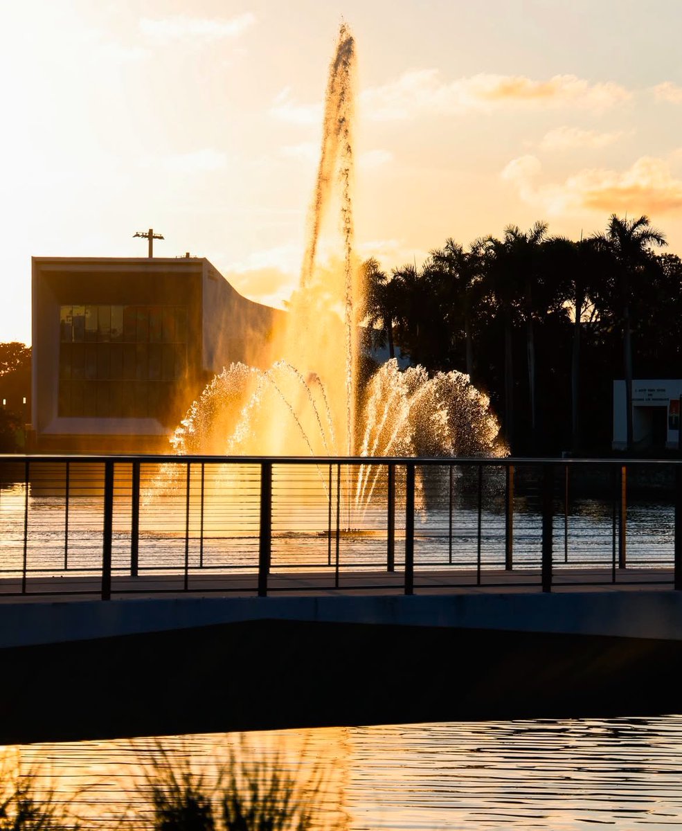 📸 Fate Bridge at the University of Miami

#UMiami100 | @UnivMiami