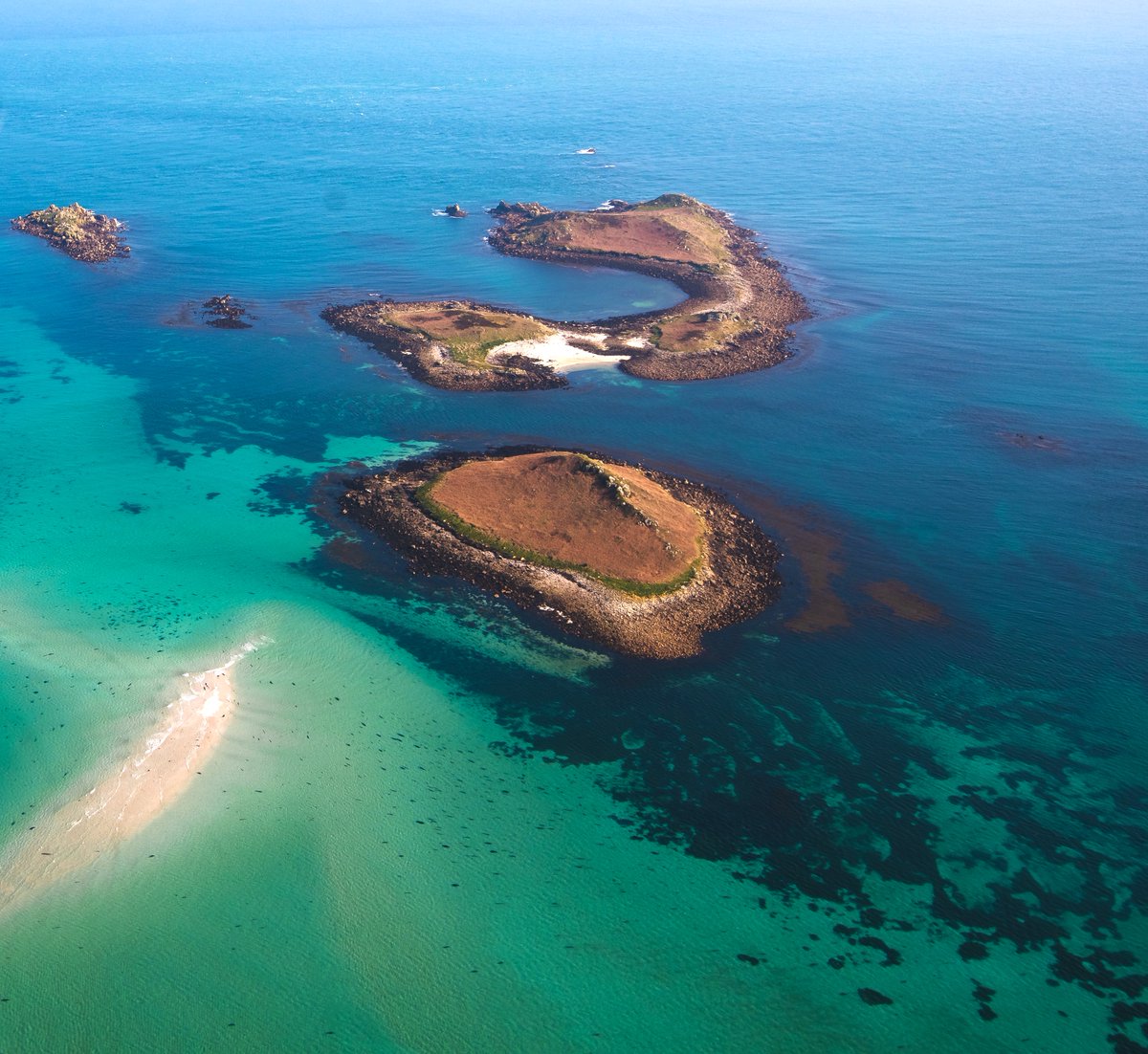 12/02/2025 @ 09:49 Good morning,  Skybus flights continue as scheduled.