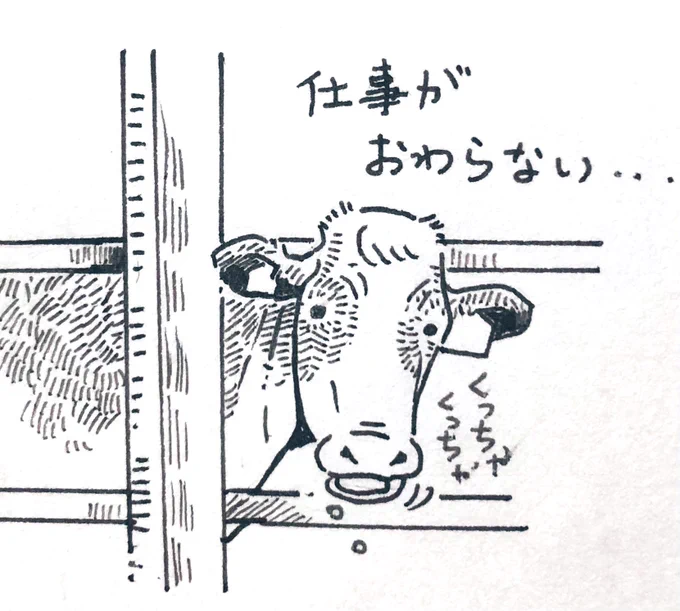 毎日 