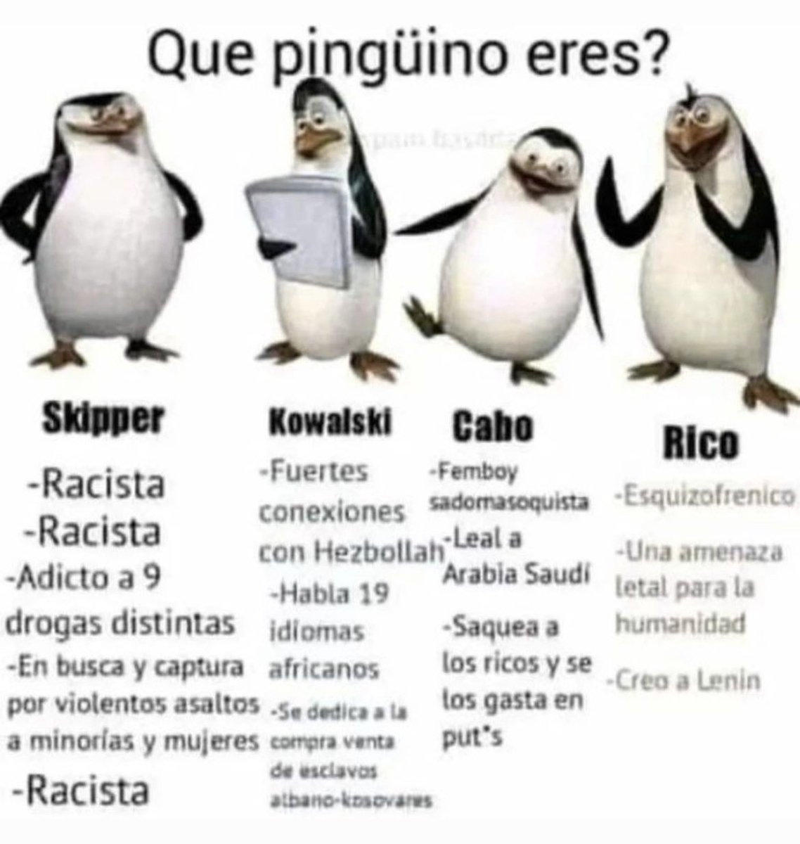 en qué momento alguien tuvo un lienzo en blanco sobre una pantalla y decidió crear esto? qué maravilla coño, por cierto soy kowalski