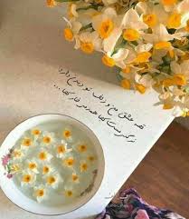 برای تقویت رابطه با حضرت حجت که عجیب هم اثر داره و معمولا شیطان نمی ذاره این رو انجام بدیم حرف زدن با امامه،
هم کلامی با امام ونجوای عاشقانه با امام.

 روزی دو دیقه آدم با امامش حرف بزنه؛ فرمودن این دستورالعمل اونقدر قویه که مصونیت از گناه میاره.

#ThePromisedSaviour 
#استغاثه