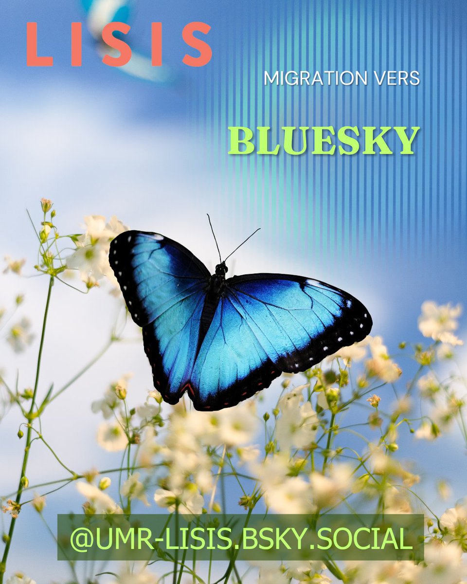 LISIS (@umr_lisis) on Twitter photo 📢Grande nouvelle!
Le LISIS : de la chenille devient papillon...
Retrouvez nous sur Bluesky 🦋:
<a href="/umr/">Umar Hussain</a>-lisis.bsky.social
umr-lisis.fr
#HelloQuitteX #migration #bluesky
<a href="/INRAE_France/">INRAE</a> <a href="/CNRS/">CNRS 🌍</a> <a href="/ddemortain/">David Demortain</a> 📢Grande nouvelle!
Le LISIS : de la chenille devient papillon...
Retrouvez nous sur Bluesky 🦋:
<a href="/umr/">Umar Hussain</a>-lisis.bsky.social
umr-lisis.fr
#HelloQuitteX #migration #bluesky
<a href="/INRAE_France/">INRAE</a> <a href="/CNRS/">CNRS 🌍</a> <a href="/ddemortain/">David Demortain</a>