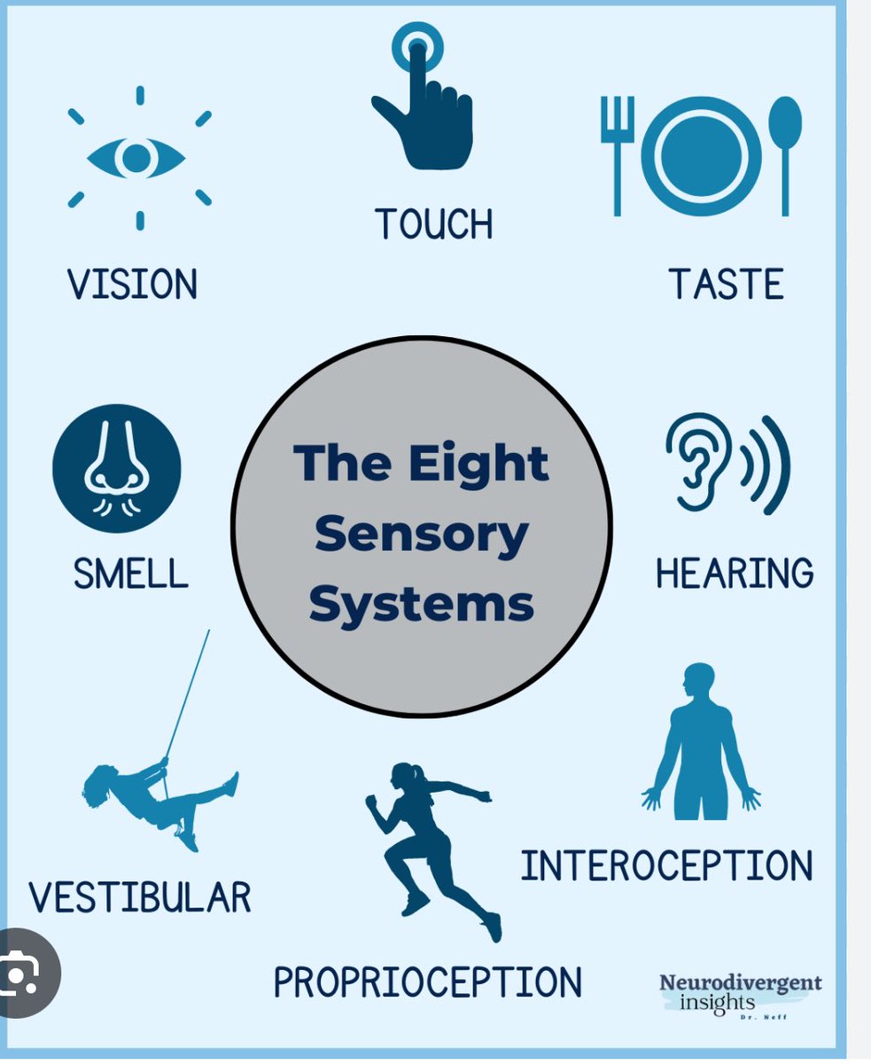 SLS Fife Team (@slsfife) on Twitter photo We are finding out how the 8 sensory systems impact upon our children and young people to access their learning? <a href="/SLSFife/">SLS Fife Team</a> We are finding out how the 8 sensory systems impact upon our children and young people to access their learning? <a href="/SLSFife/">SLS Fife Team</a>