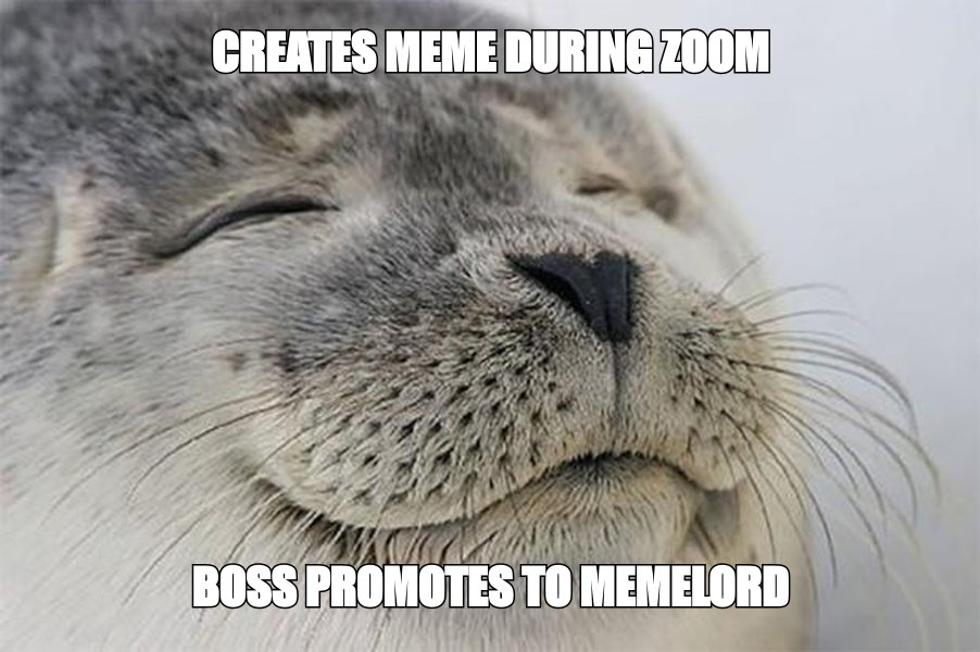 That moment when your side gig as a meme creator finally pays off during a work call.