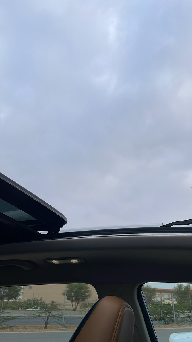 mphyal's tweet image. ☁️