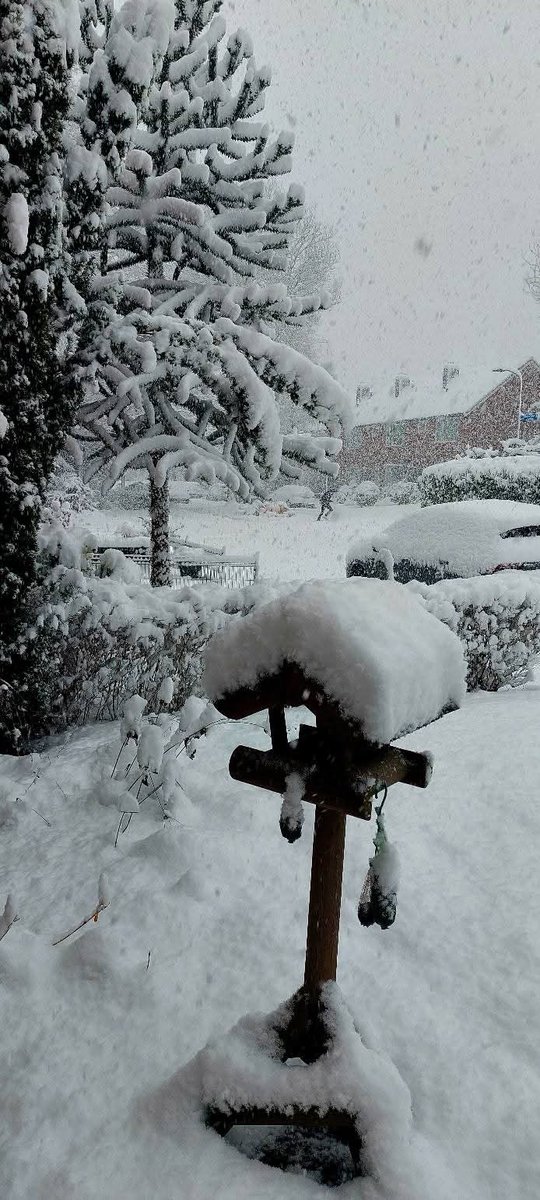 🌨️ Winterwonderland in het noordoosten van Nederland. Op sommige plekken ligt er al meer dan 10 cm sneeuw en voorlopig blijft het daar sneeuwen! 

Volg de sneeuw op art-of-thunders.nl/neerslagradar/

Foto's van Edwin Kerkhof

#sneeuw