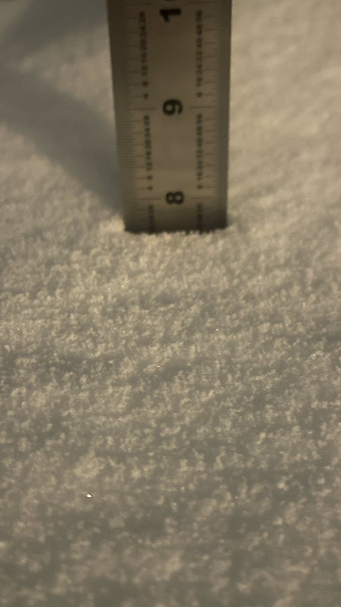 specialksal's tweet photo. On my snowy patio in Springfield when I woke up this morning. @ChuckBell4 @dougkammerer @amelia_draper https://t.co/zXmeUh8sd2
