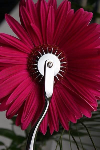 Get her Flowers and Books this V-Day

B.J.'s Valentine's Day Sale

25% off 2+ regularly-priced books

Now through February 14

My site only: bjfrazier.com

Use Coupon Code: WZMMH774

Happy V-Day and keep reading,

~B.J.

#Femdom #Erotica #BDSM #Valentines #NSFW #Romance
