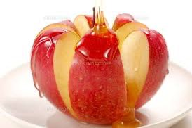 Windows_vs's tweet image. 真上から見る相撲