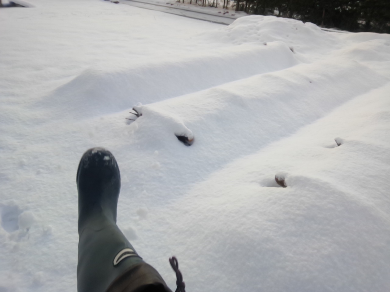 雪が深くなる前に軽トラに詰め放題、いろんな薪あります