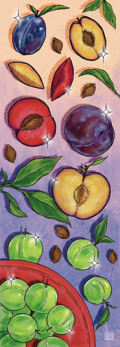 “Erik”
<a href="/kafkaokurdergi/">KAFKAOKUR</a>’nin Ekim 2024 sayısında, şair ve yazar <a href="/Haydar_Ergulen/">Haydar Ergülen</a>’in, her sayıda farklı sebze ve meyvelerin ele alındığı “Kutsal Lezzetler Alfabesi” yazı dizisinin dokuzuncu bölümü için yaptığım illüstrasyon. 🔴🟢🟣
#illustration #foodillustration #editorial