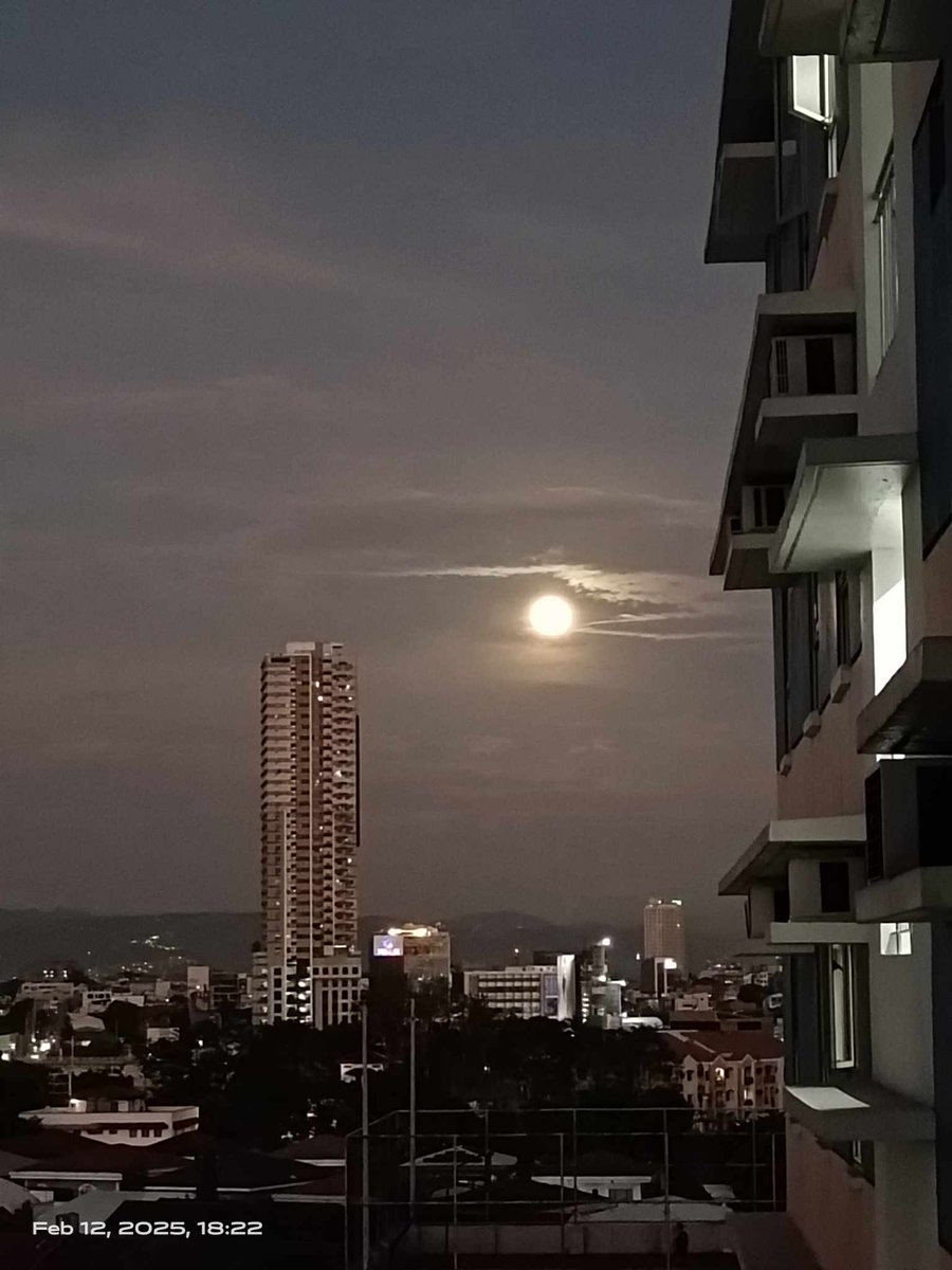 ctdA73's tweet photo. I looked out the window and saw the lovely sight. The full moon is a beautiful sight to behold, a sense of loneliness whenever I would look at it but it has this quiet strength, shining so brightly, even when it's the only one up there. https://t.co/Pawb1MeN1h