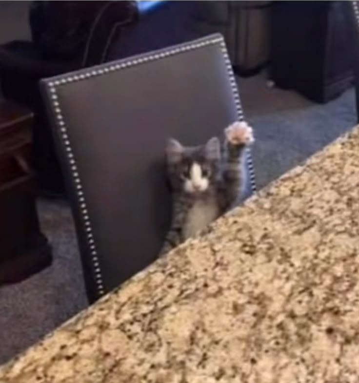 ‍‍‍‍‍‍ᅠ..ᅠᴺ﹑a͢giᅠ﹒ᅠ៶៸ᅠ tweet media