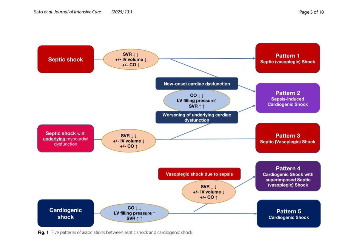 hardik4u24's tweet image. 1/n Sepsis-induced cardiogenic shock (SICS) is a complex interplay of vasoplegia &amp;amp; myocardial dysfunction. 

But how do we classify it?🤔

Here’s breakdown of 5 shock patterns 

Sato et al.(2025)🧵⬇️

🔗doi.org/10.1186/s40560…

#CriticalCare #Sepsis #Nephrology #CardiogenicShock