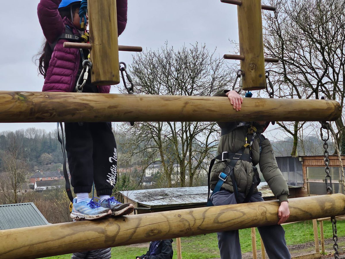 Mice showed off their climbing skills on the high ropes!