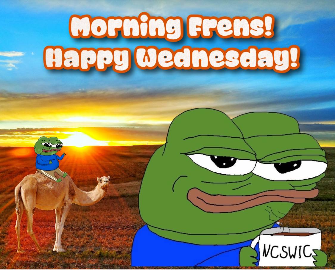 Pepe Deluxe 🐸 tweet media