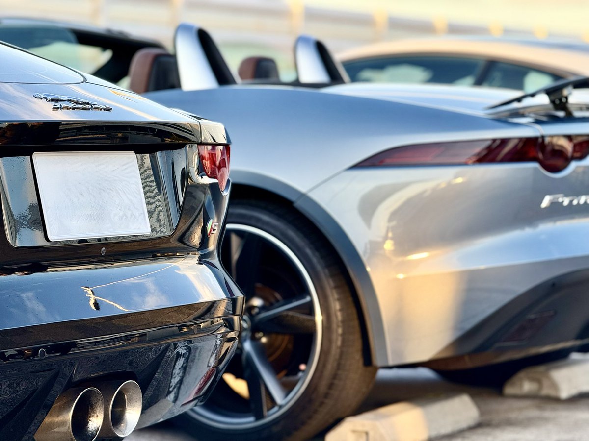 ftypan's tweet image. かわいいお尻をたくさん撮りました
外苑→辰巳コースありがとうございました！！！
#Ftype #Fタイプ #台北