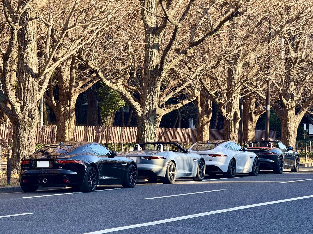 ftypan's tweet image. かわいいお尻をたくさん撮りました
外苑→辰巳コースありがとうございました！！！
#Ftype #Fタイプ #台北