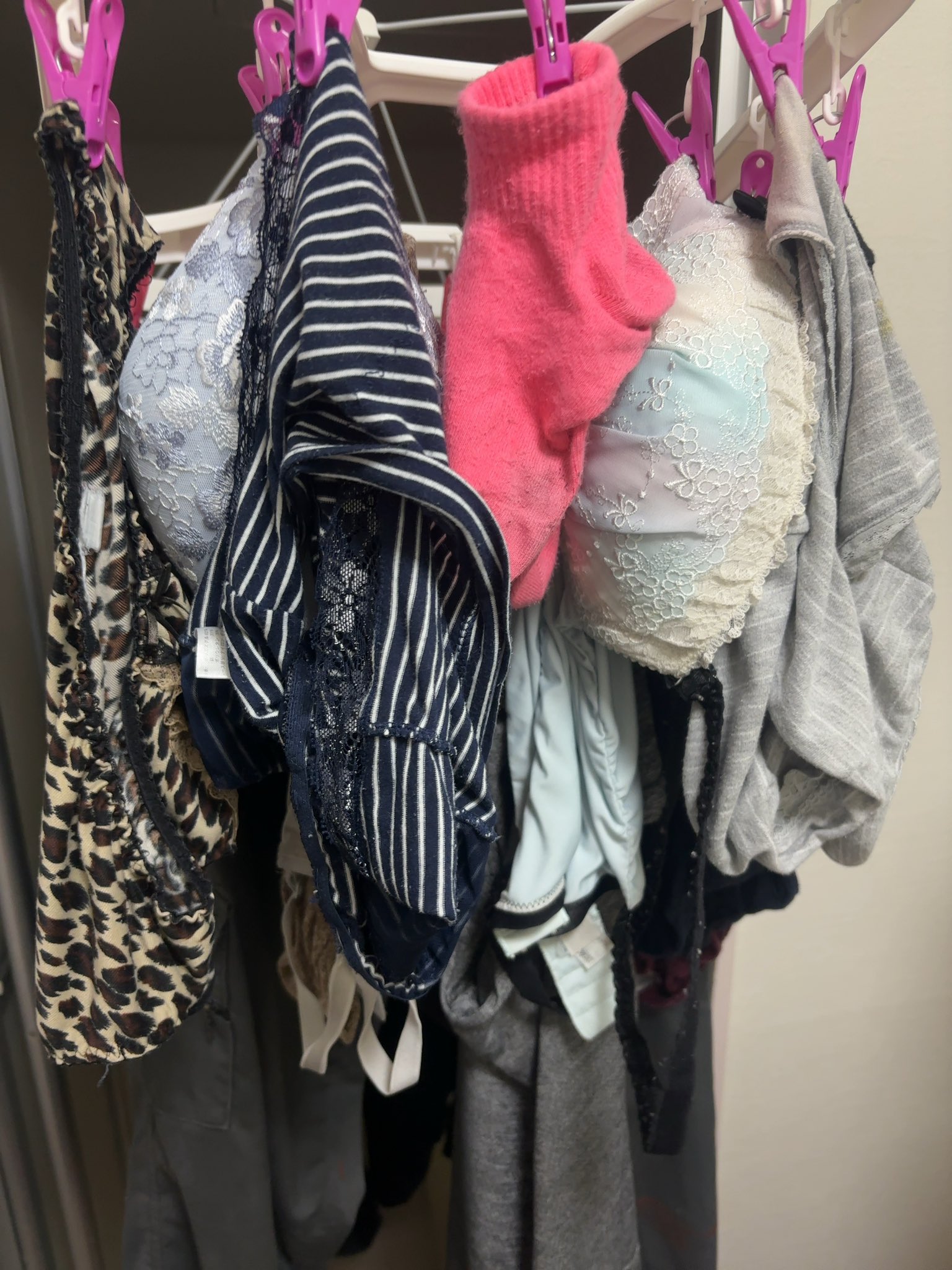 洗濯下着フェチ 