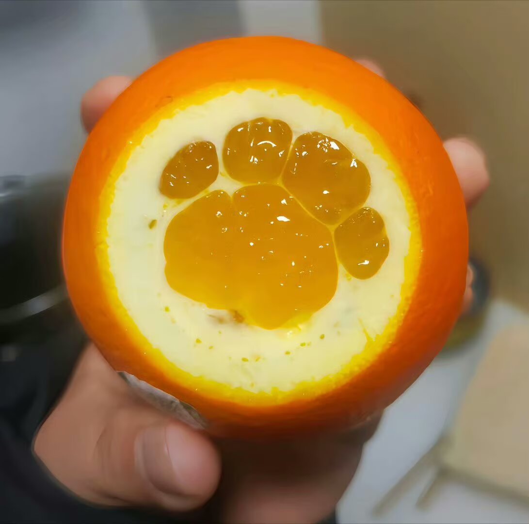 VNight6's tweet photo. 🍊🐾 https://t.co/Gj6sYzAbwu
