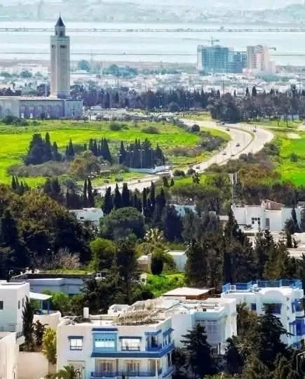 بلادي و إن جارت عليا عزيزة👈🇹🇳