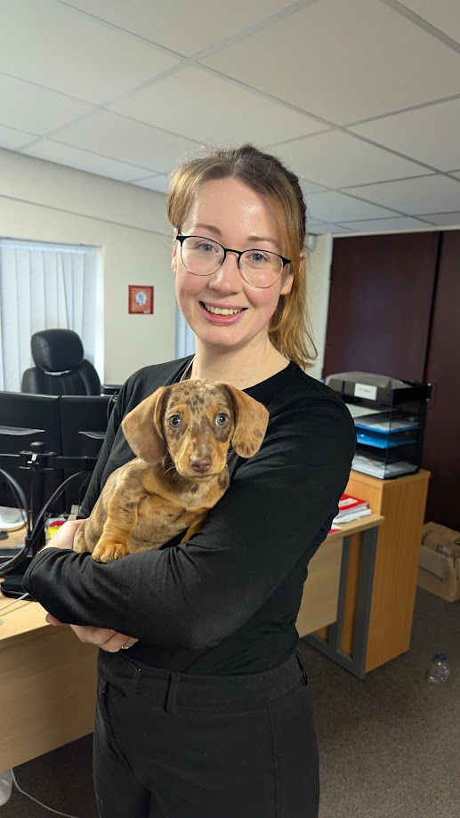 A surprise visitor in our in-tray this morning! Meet Millie, the miniature Dachshund, our adorable office recruit for the day.🐕💼 She’s already winning hearts and boosting morale - who wouldn’t want this little cutie on their team? 🥰