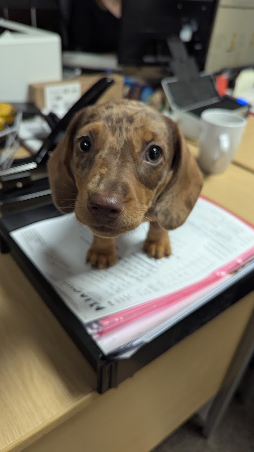 Jackson Fire & Security UK Ltd tweet media