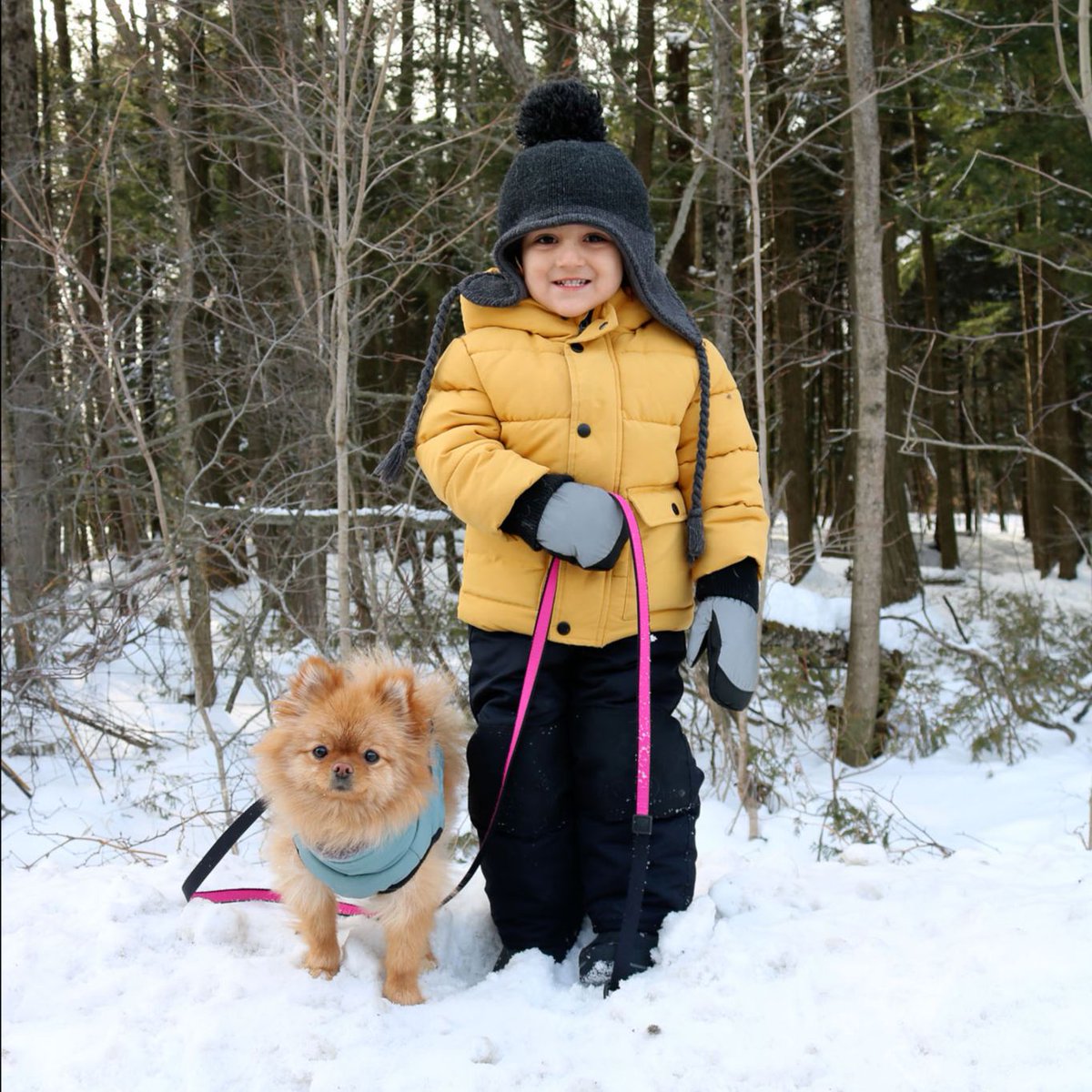 oronotimes's tweet photo. Check out the latest edtion - February 12th Orono Weekly Times - https://t.co/H7tjzsFiSb https://t.co/0EJbucJA3P
